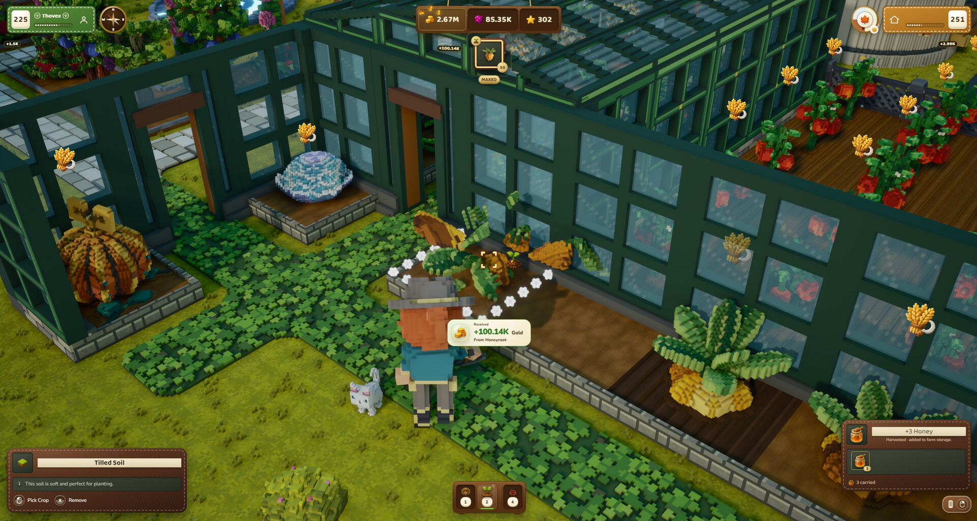Plants and produce inside a greenhouse.